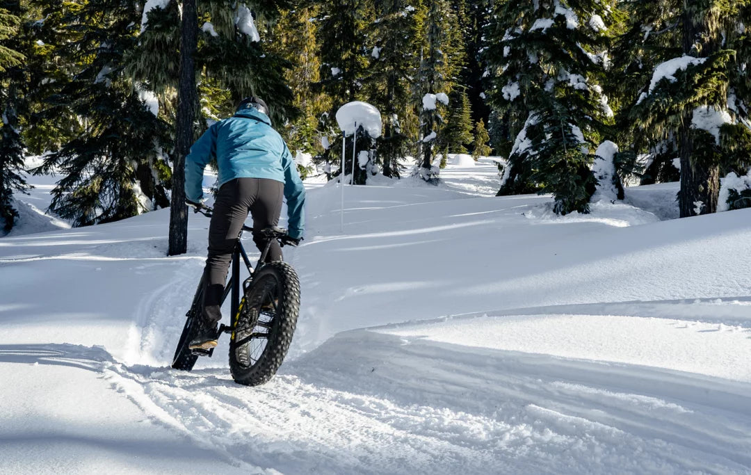 REVOLOOP – FAT bike