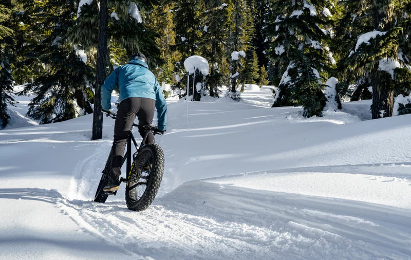 REVOLOOP – FAT bike