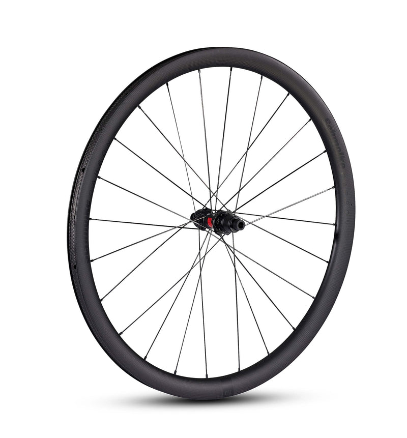 Schmolke – SL 37 TLR Disc / 1K / DT Swiss 240 hubs